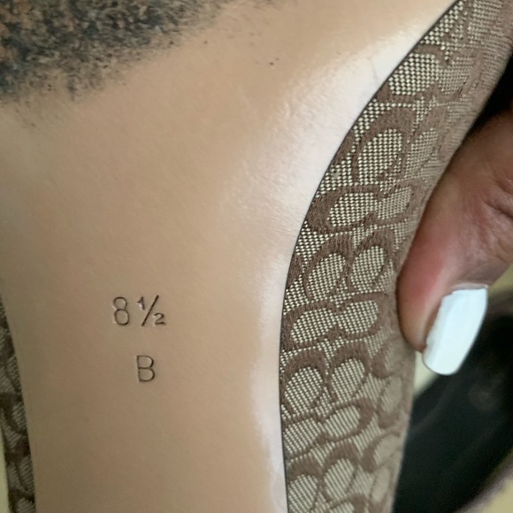 Signature coach - Picture 4 of 6